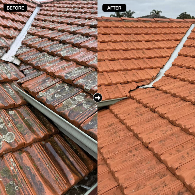 Gallery1